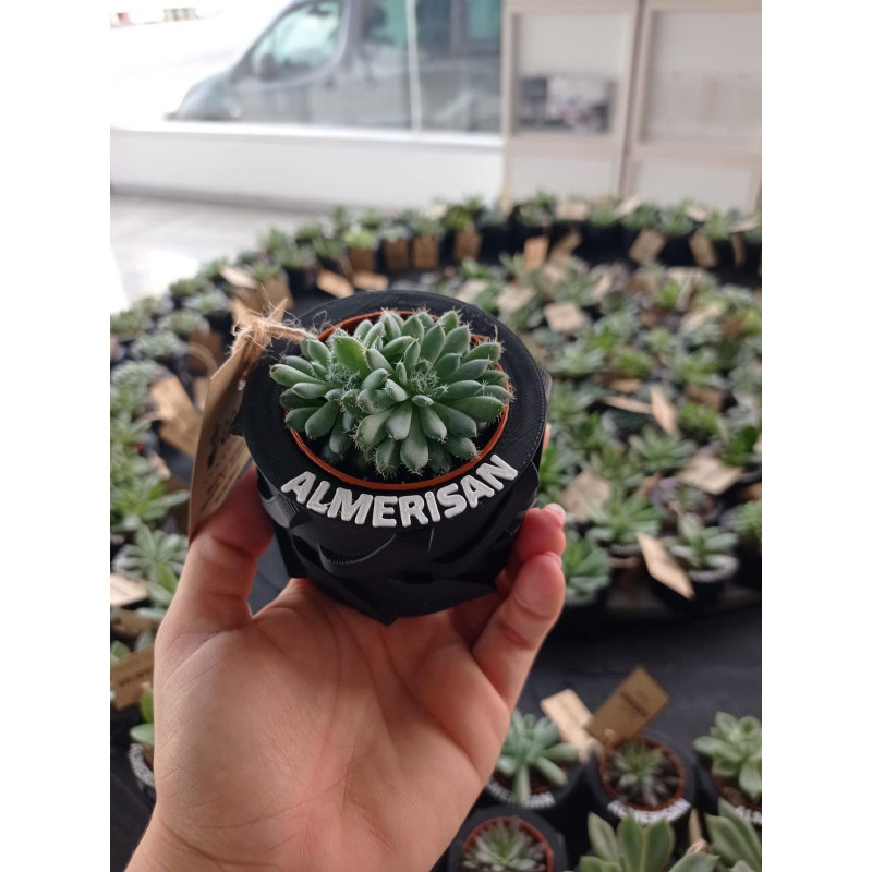 Productos publicitarios