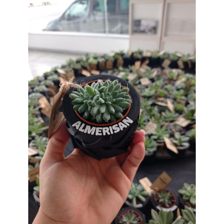 Productos publicitarios